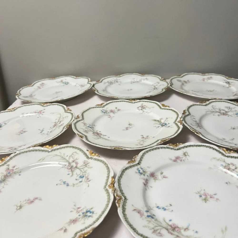 Haviland & Co. Limoges haviland co